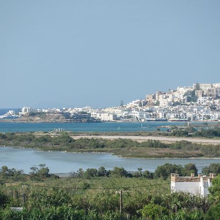 Naxian Spirit Suites & Apartments Agia Anna  Bagian luar foto