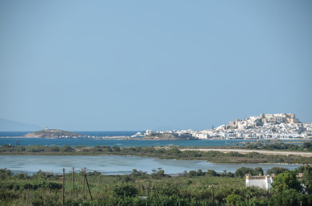 Naxian Spirit Suites & Apartments Agia Anna  Bagian luar foto