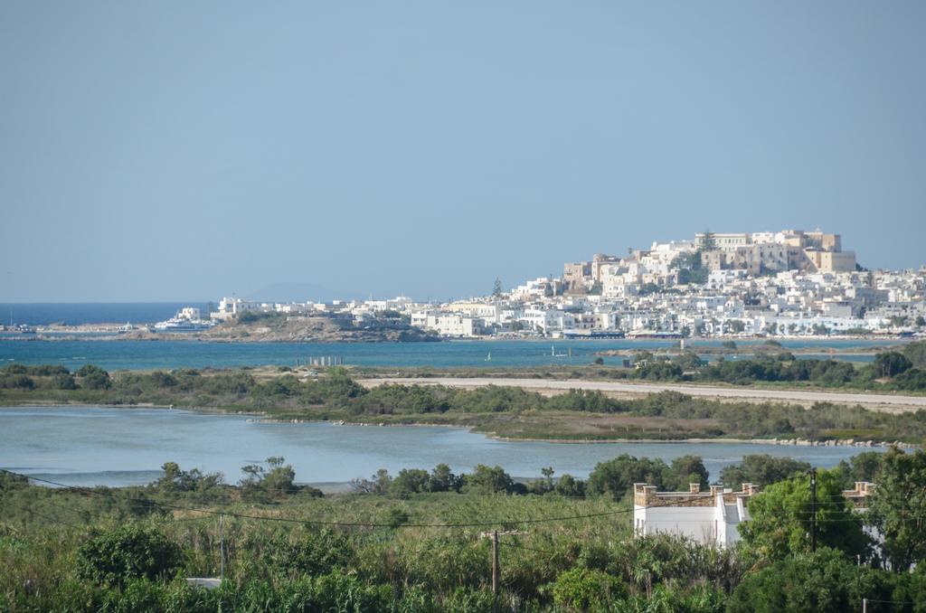 Naxian Spirit Suites & Apartments Agia Anna  Bagian luar foto